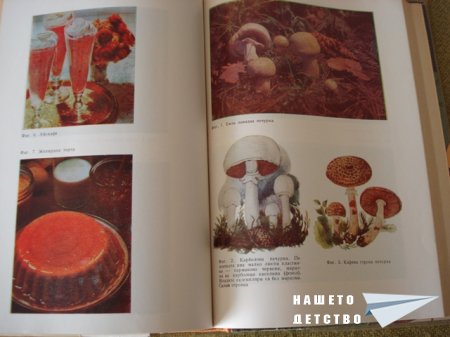 Книги за дома и семейството