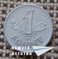 Млад нумизмат