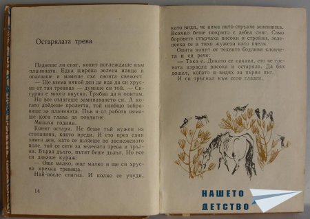"Мравешка пътека" - Анастас Стоянов