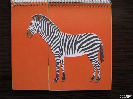 Забавна книжка с животни