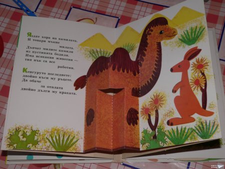 "От корица до корица ту слон ту лъвица" (панорамна книжка 8)