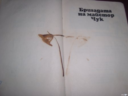 "Къщичка на колела"