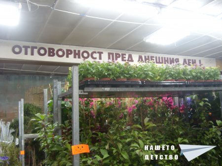 Дом на услугите и Комбинат, Предприятие за битови услуги