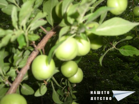 Започвам да черпя....30 дни Започвам да черпя....30 дни