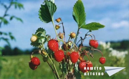 Започвам да черпя....30 дни Започвам да черпя....30 дни