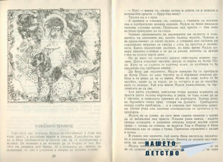 Конче еднорогче