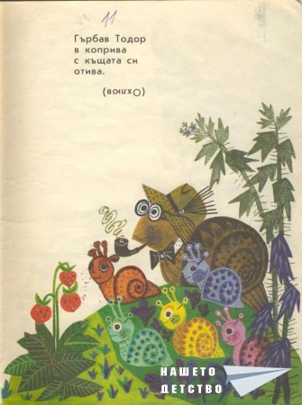 Мъдра баба