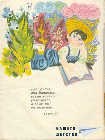 Мъдра баба