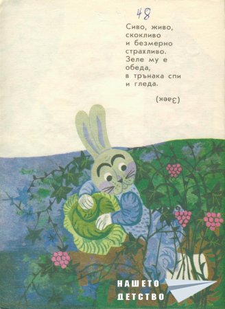 Мъдра баба