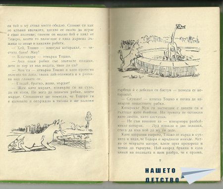 Странички от две стари книжки