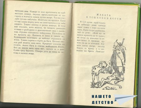 Странички от две стари книжки