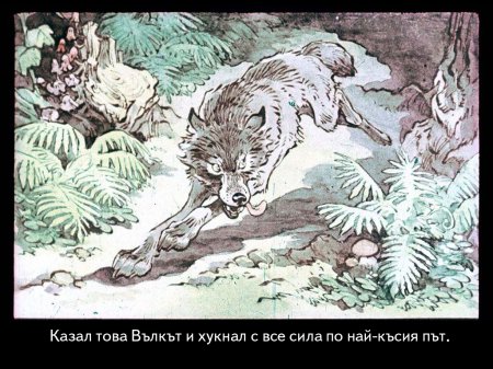 Червената шапчица. 1975 – Диафилми+