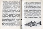 От ваната на Архимед до атмосферите на далечни планети