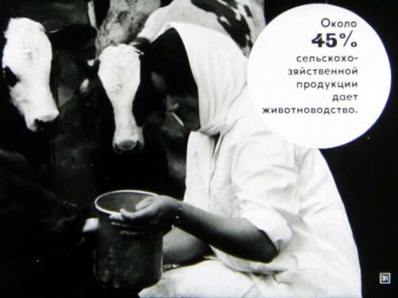 Народная республика Болгария (диафилм)