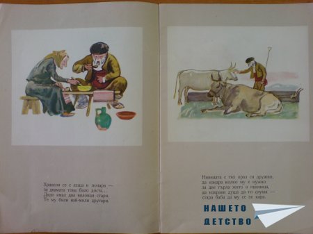 Чохено контошче