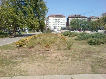 Пионери