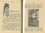 Светулка