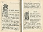 Светулка