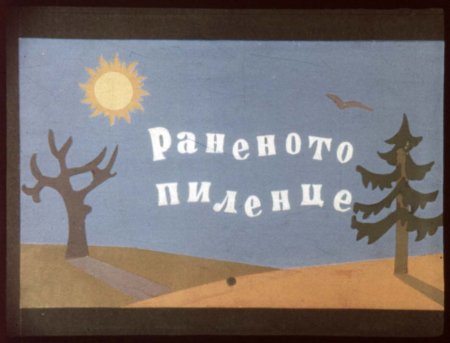 Раненото Пиленце