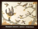 Раненото Пиленце
