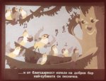 Раненото Пиленце
