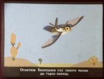 Раненото Пиленце
