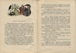 английски народни приказки