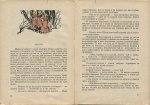 английски народни приказки