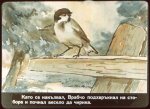 Петлю и Врабчо