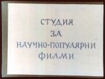 Кума Лиса Съдия