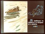 Кума Лиса Съдия
