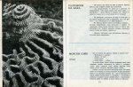 Околосветско Плаване - Детска Морска Енциклопедия - 15 част
