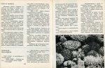 Околосветско Плаване - Детска Морска Енциклопедия - 15 част