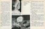 Околосветско Плаване - Детска Морска Енциклопедия - 15 част