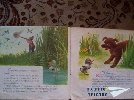 Стари, стари книжки